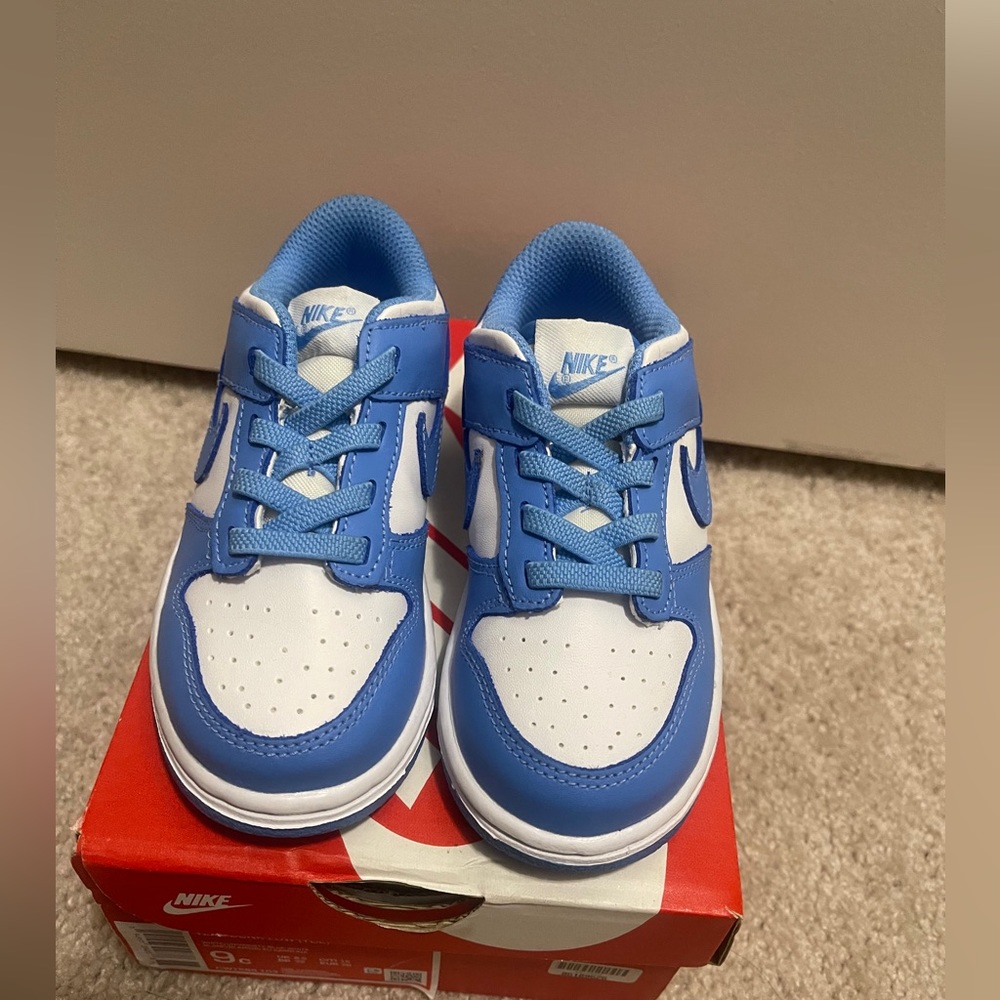 Toddler Nike low dunk 9c